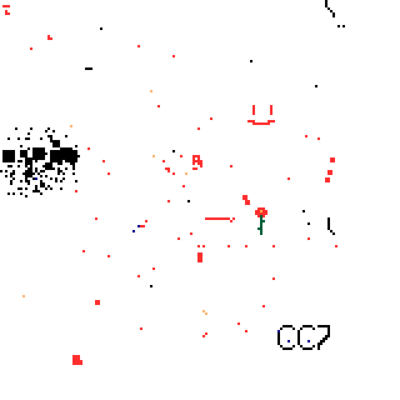 WeSearch Canvas — week of 2026-08-01